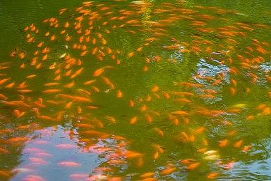 《幻想三国志-天元异事录》宣传片公开 试玩版2022年1月推出